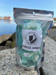 Freeze Dried Gummy Sharks