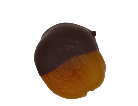 Chocolate Dipped Apricot