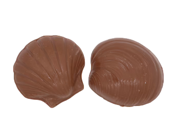 Milk Chocolate Seashells